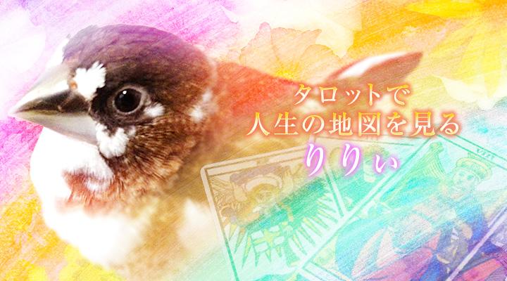 りりぃ
