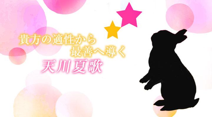 天川 夏歌