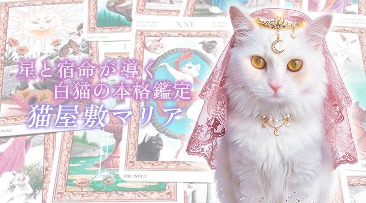猫屋敷マリア