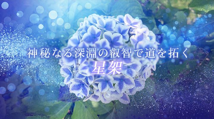 星架