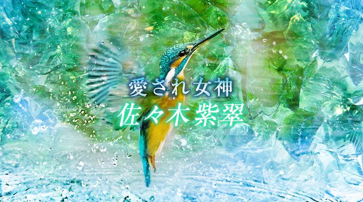 佐々木紫翠