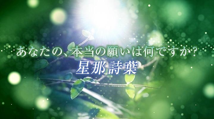 星那　詩葉