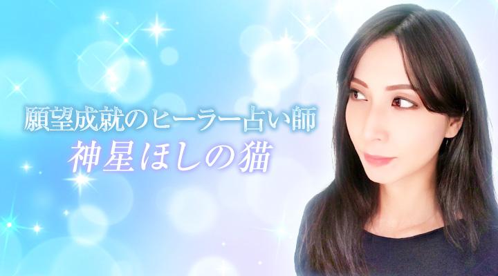 神星ほしの猫