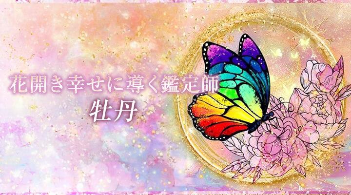 牡丹
