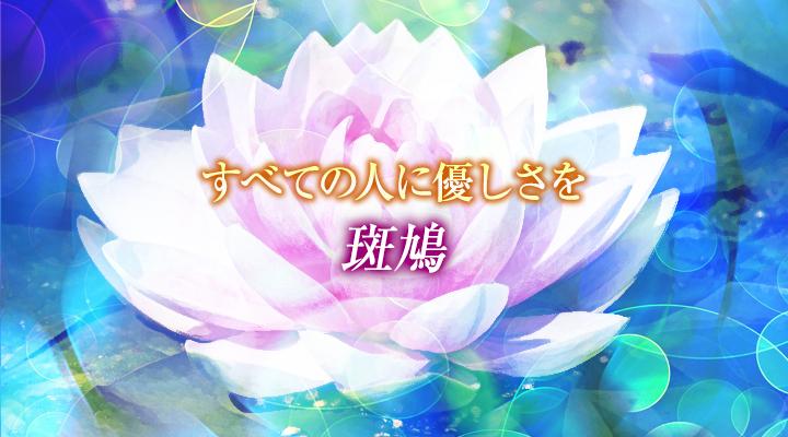 斑鳩