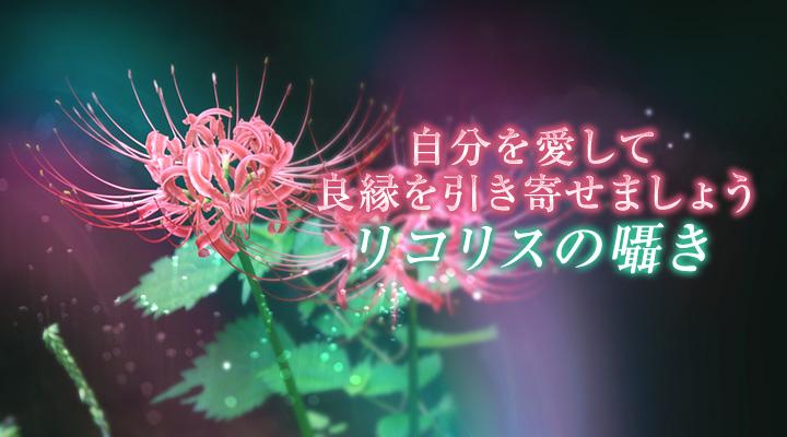 リコリスの囁き