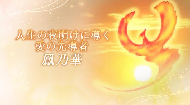 鳳乃華
