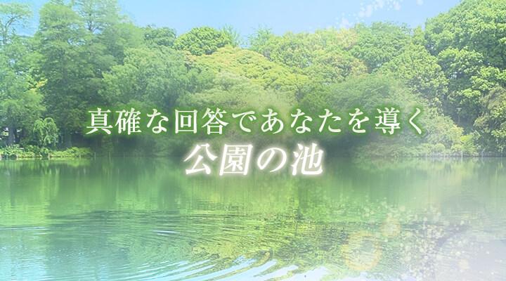 公園の池