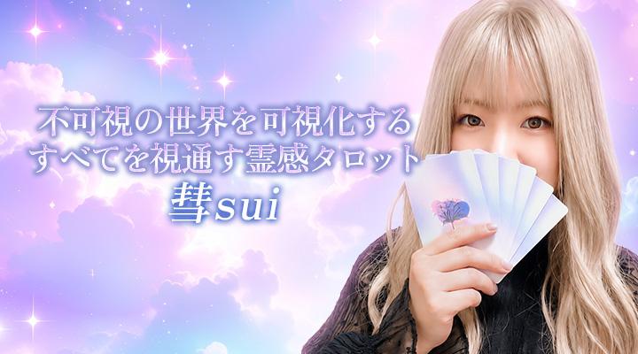 彗sui