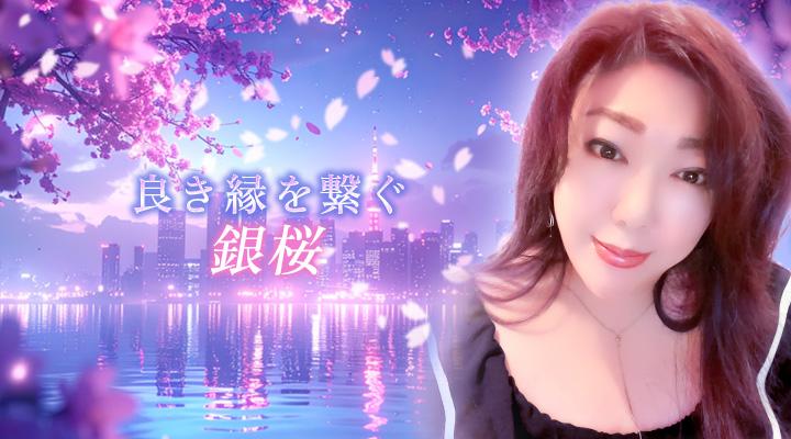 銀桜
