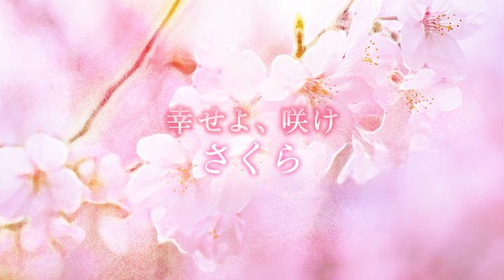 さくら