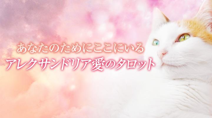 アレクサンドリア愛のタロット