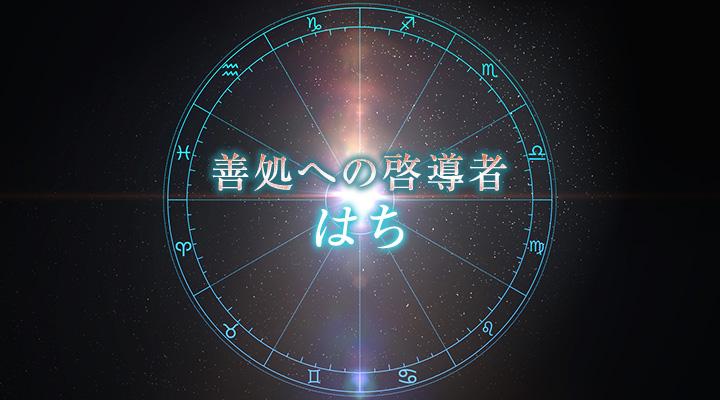 はち