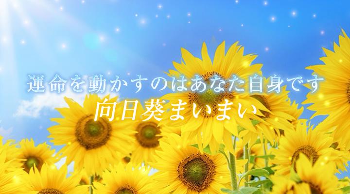向日葵まいまい