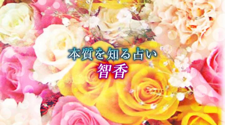 智香