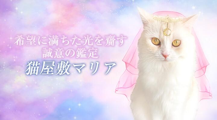 猫屋敷マリア