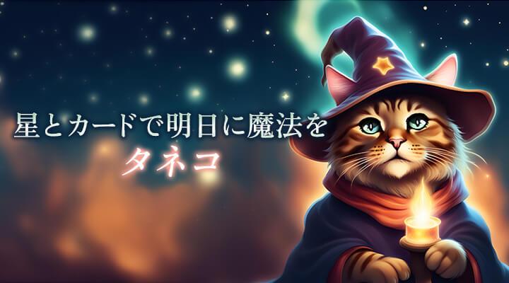 タネコ