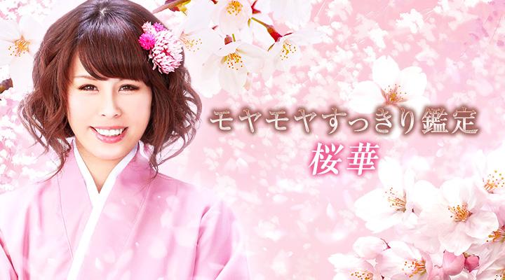 桜華