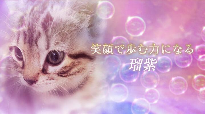 瑠紫