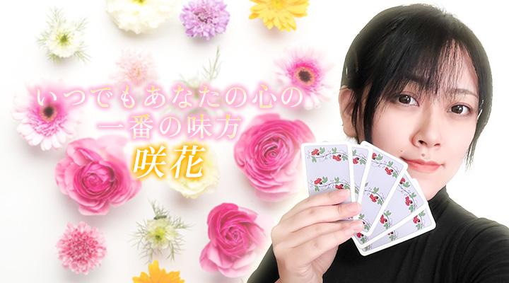 咲花