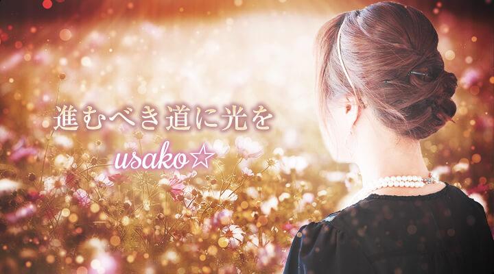 usako☆
