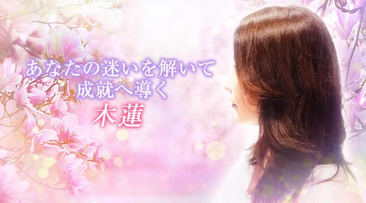 木蓮
