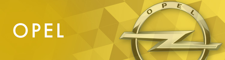 オペル Opel の中古車 中古車を探すなら Carme カーミー 中古車