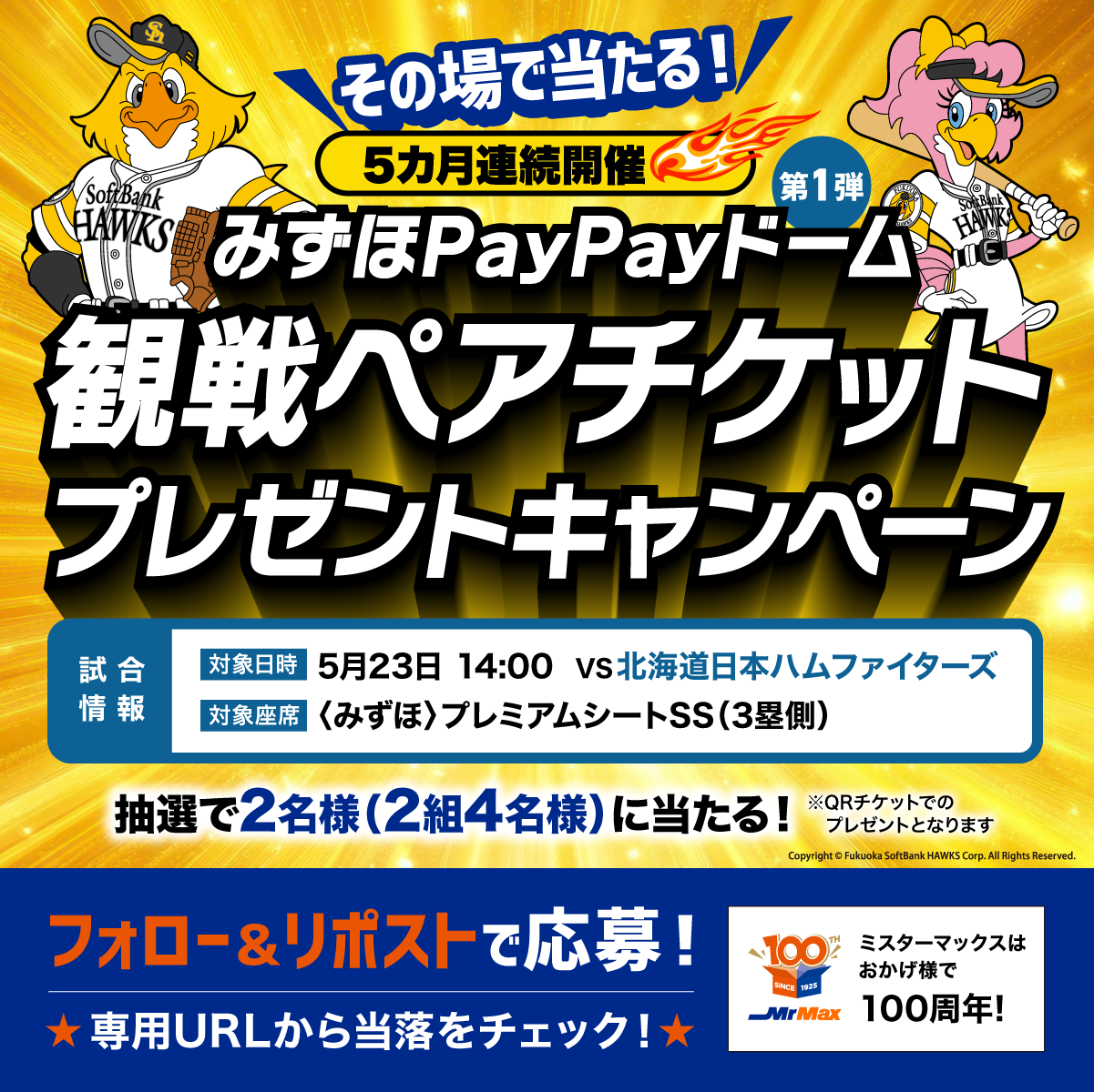 みずほPayPayドーム 観戦ペアチケット抽選キャンペーン