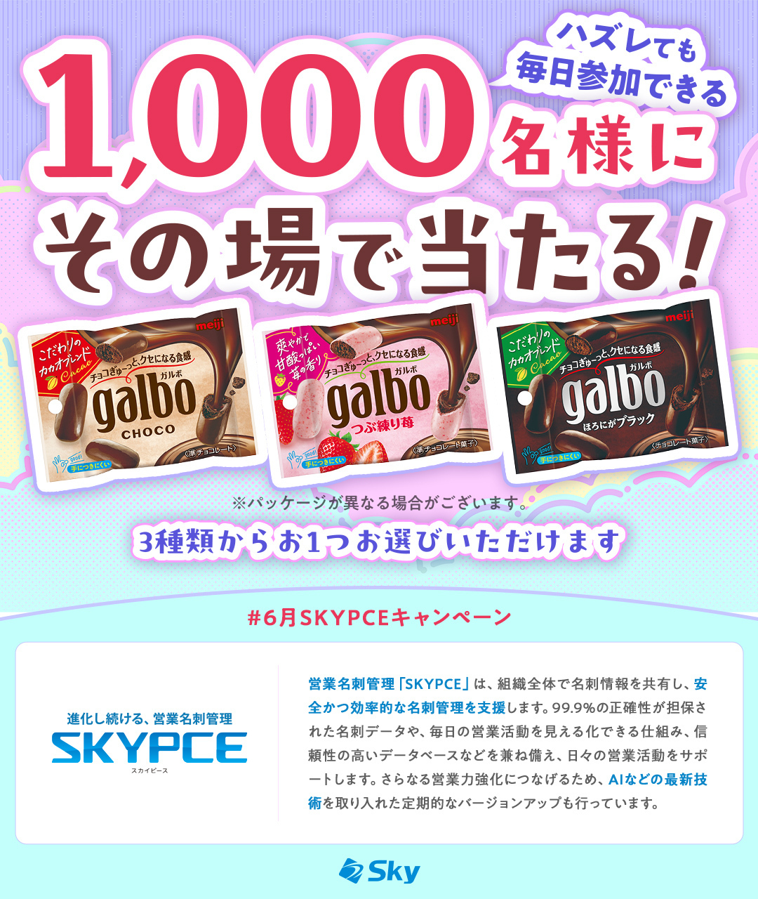 SKYPCE6月キャンペーン『明治 ガルボチョコポケットパック いずれか1つ