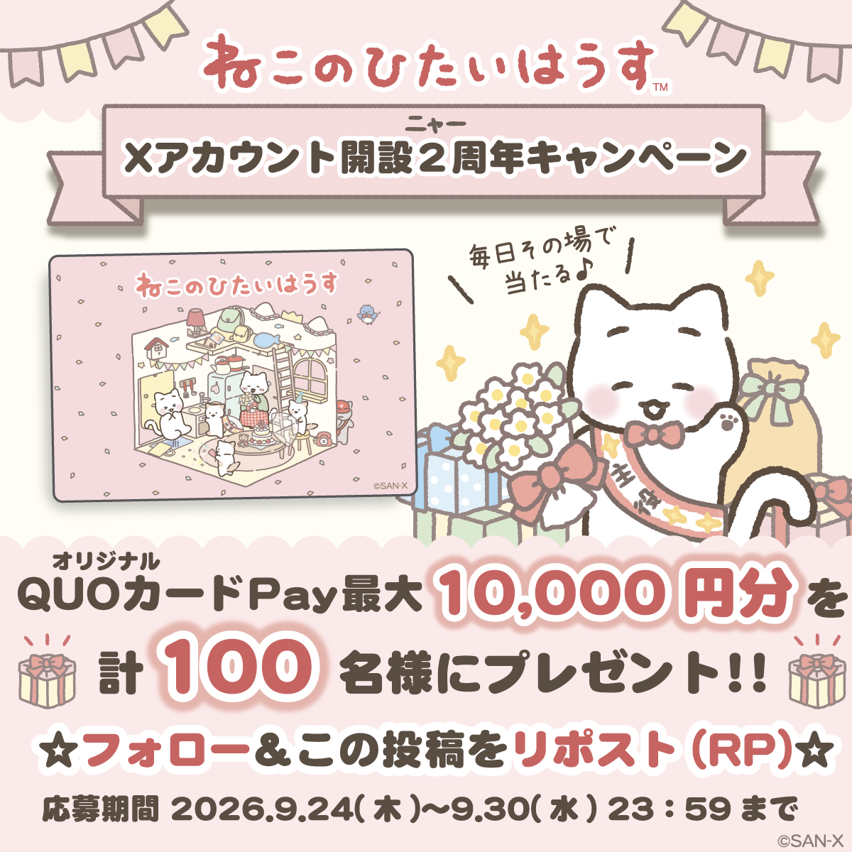 ソーシャルキャンプ