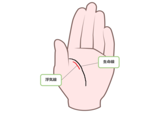 男の浮気は手相で見抜ける 浮気 恋愛に関係する手相5選 浮気調査ナビ 男の浮気は手相で見抜ける 浮気 恋愛に関係する手相5選 浮気調査ナビ