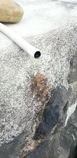 この猛暑蜂が給水してますが、給水設備を教えて下さい