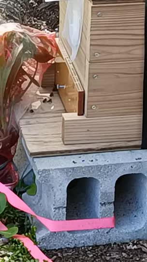 みつばちゆっち♪木箱の発送時間かかります まち箱です。数日前からこんな状態です。コレは何をしているの