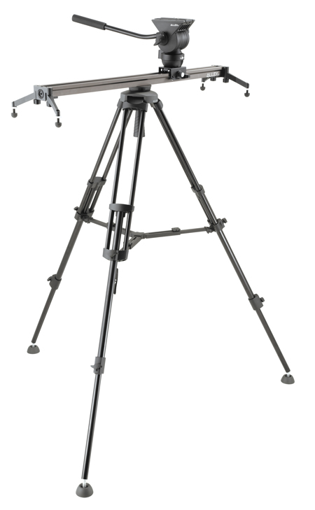 ALLEX%20S%20KITW.jpg