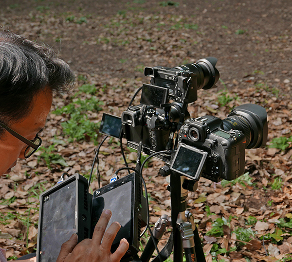 D500_SHOGUN.jpg