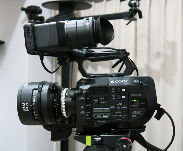 FS7_08.jpg