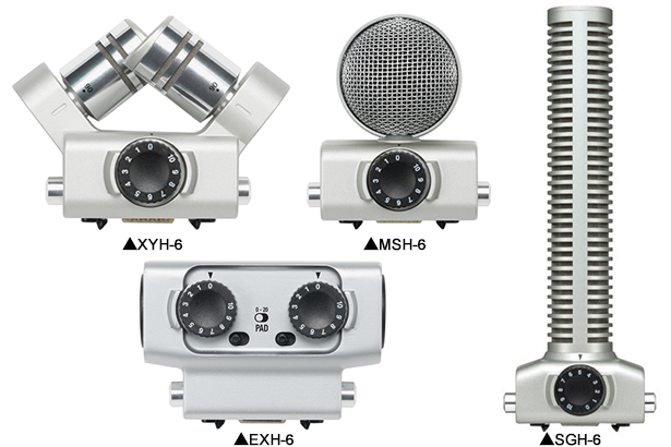 H6_mic_capsul.jpg