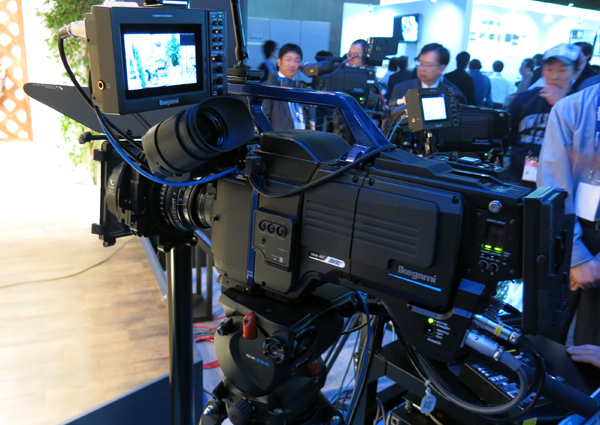 IKEGAMI1.jpg