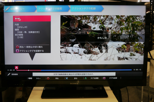 cp2012_sony05.jpg