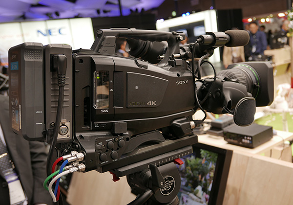 sony201606.jpg