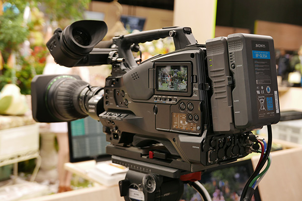 sony201607.jpg