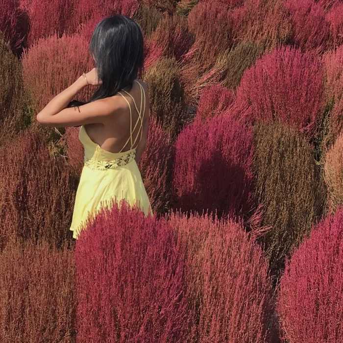 Thumb 61a485e7 20ee 40e8 985d 3dea2782f2e0