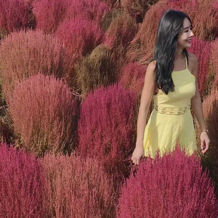 Thumb 5b2c236b c4a2 4d51 9c1f b4f7a526ee3b