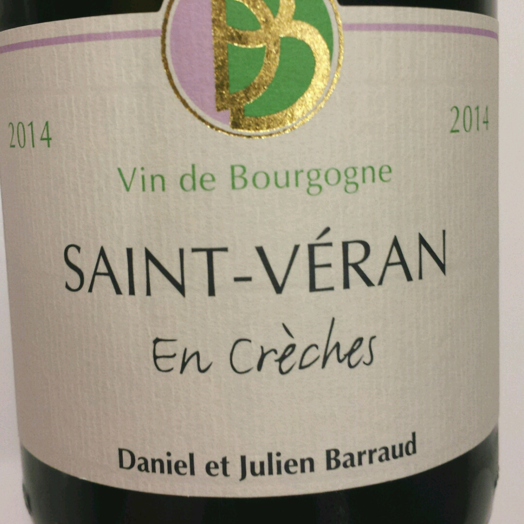 daniel-julien-barraud-saint-v-ran-en-vinica