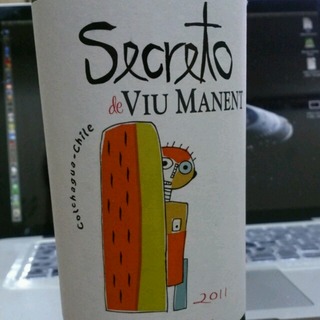Secreto de Viu Manent Carmenere