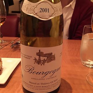 Marcel et Thierry Guyot Bourgogne
