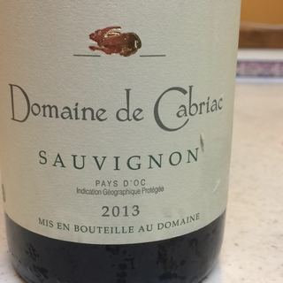 Dom. de Cabriac Sauvignon(ドメーヌ・ド・カブリアック ソーヴィニヨン)