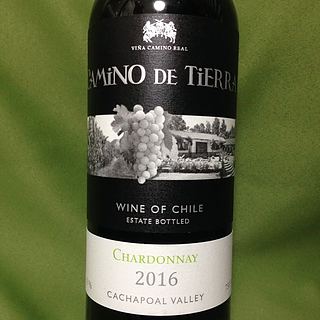 Camino de Tierra Chardonnay(カミノ・デ・ティエラ シャルドネ)