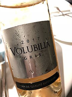 Volubilia Gris