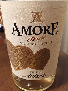 Antane Amore Eterno Bianco